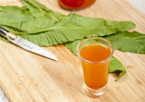 Сороконожка: папоротник от кашля