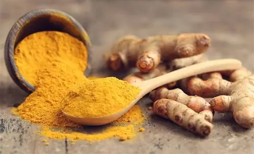 Как побаловать себя куркумой: советы для здоровья и красоты
