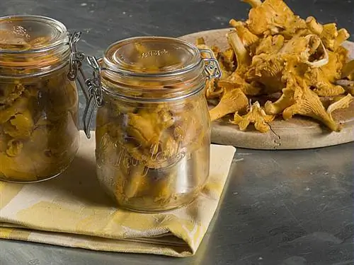 Хранение грибов