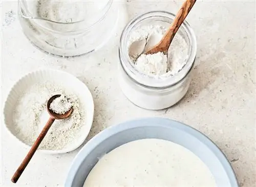 Закваска: ингредиенты