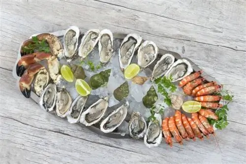 Можно ли замораживать морепродукты?