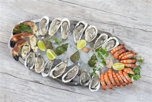 Как правильно заморозить морепродукты?