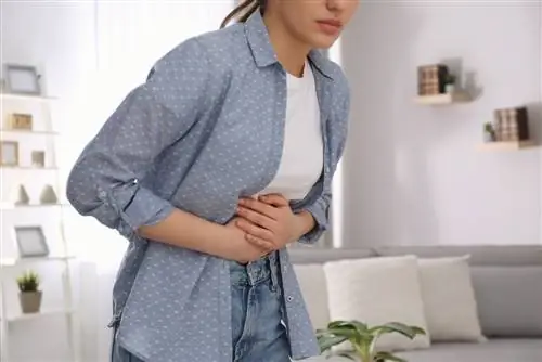 Сальмонелла: симптомы, причины и лечение на кухне