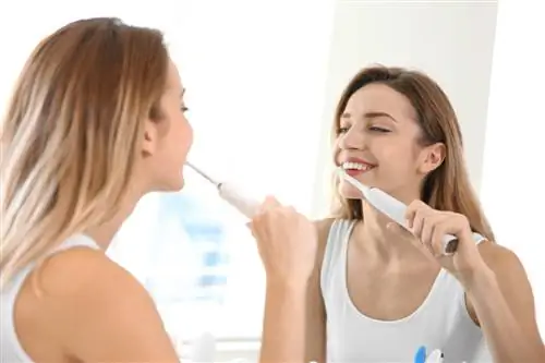 Какую электрическую зубную щетку выбрать?