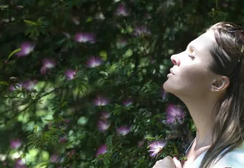 Гортитерапия или когда садоводство лечит