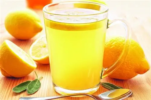Лимонная вода, лимонный сок и лимоны