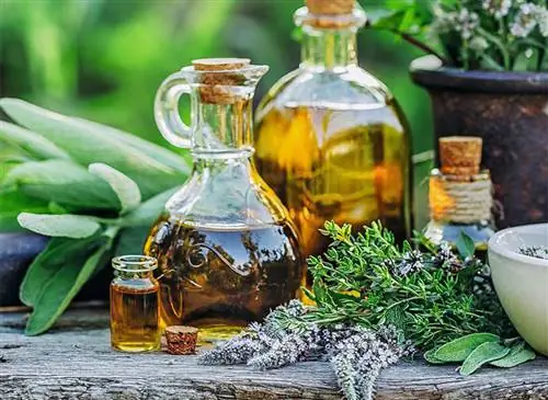 Наши советы по здоровью и благополучию летом