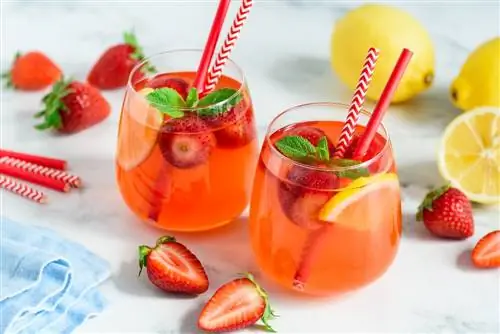 7 рецептов детокс-воды для очищения организма