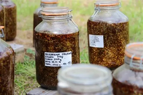 бутылки солнечного мацерата