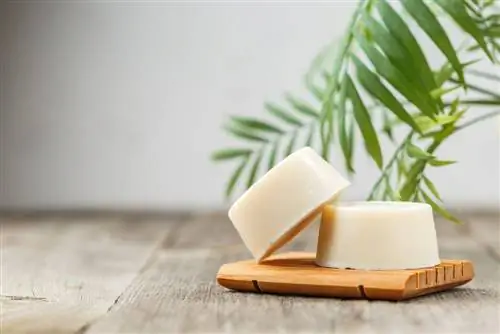 Холодное омыление: все, что вам нужно знать, чтобы сделать мыло