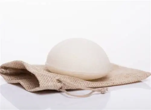 натуральная губка конжак