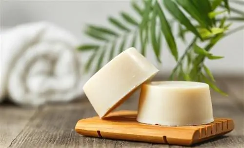 Выбирайте твердый шампунь.