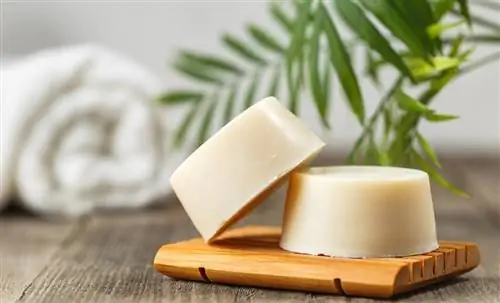 Безотходное использование: зачем использовать твердый шампунь?