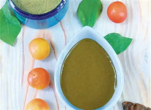 Порошковый шампунь для защиты вашего цвета.