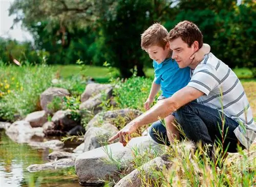 Для тех, кто находит время наблюдать, пруды содержат исключительное экологическое богатство.