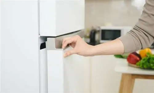 Продукты, которые не обязательно хранить в холодильнике Продукты, которые не обязательно хранить в холодильнике