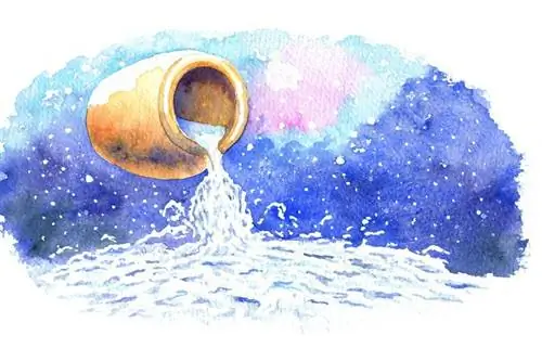 Астрологический знак Водолей