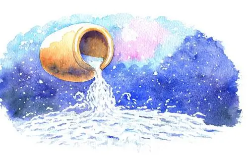 Астросад: знак Водолея в центре внимания