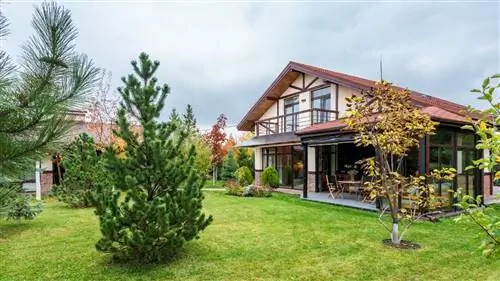 Какие деревья устойчивы к засухе?