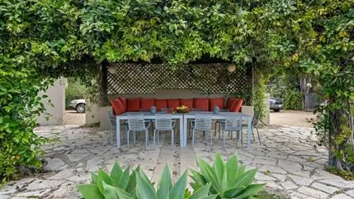 Как создать тень в саду без дерева?