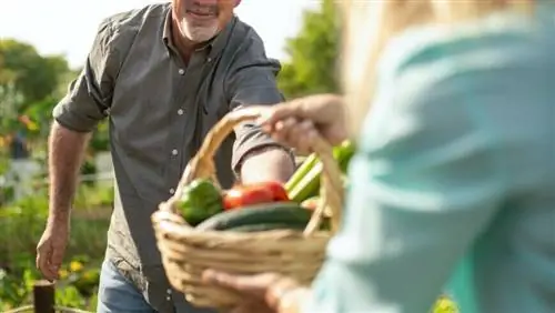 Что следует посадить и собрать в саду в августе?