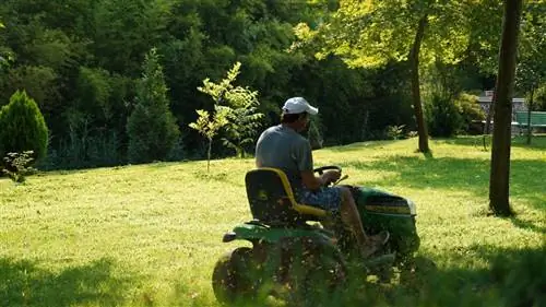 Скошенная трава: 5 удивительных способов вернуть ее к жизни