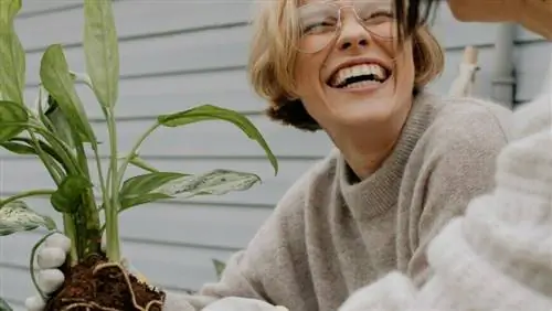 Чем заняться в саду в сентябре!