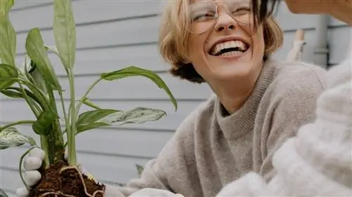 Какие хорошие садовые мероприятия применить в сентябре?