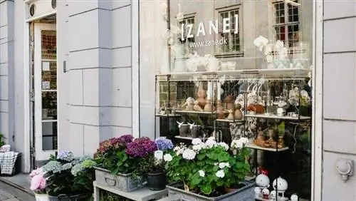 Сад или комнатные растения: чем заняться перед поездкой в отпуск