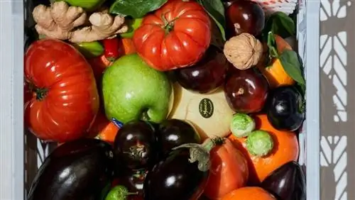Сайты, на которых можно продавать продукцию со своего огорода