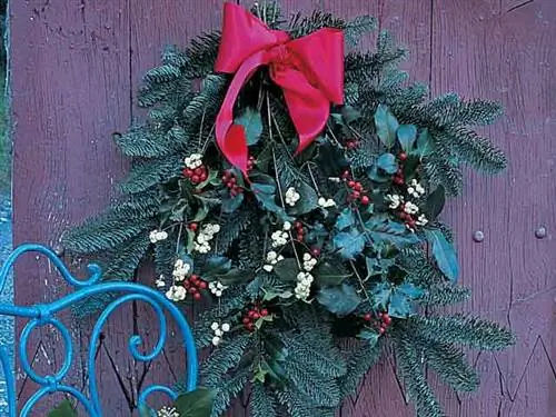 Сделай сам: крона растения. Приветственные ягоды