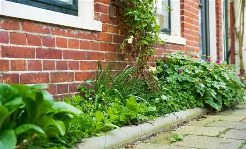 Green Guerilla: почему и как начать городское сельское хозяйство