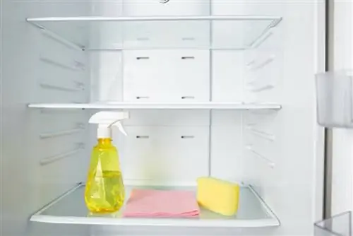 Как правильно чистить холодильник: советы и продукты