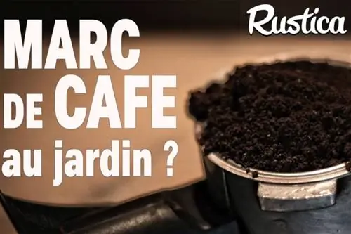 Как правильно использовать кофейную гущу в саду