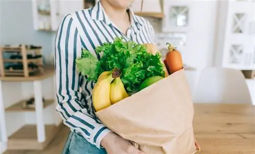 Как лучше питаться, заботясь о планете?