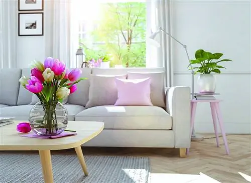 Как провести генеральную уборку, комната за комнатой