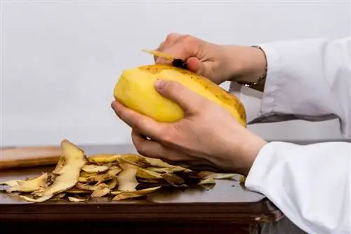 Как переработать кожуру фруктов и овощей?