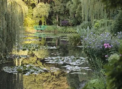 Живерни: le clos Normand, вид на пруд с кувшинками