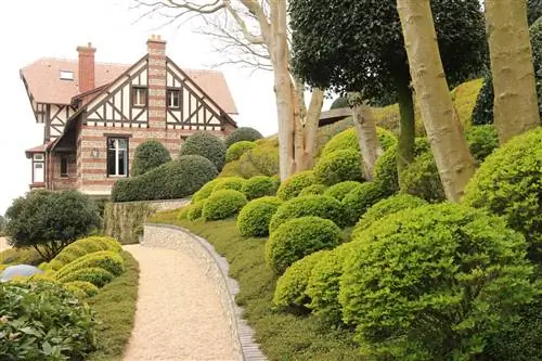 Les Jardins d’Etretat, растения, устойчивые к морским брызгам
