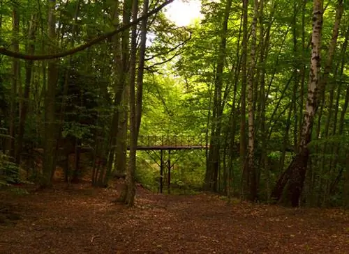 В сердце Domaine de Charance царит свежесть.