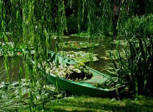 Лодка в пруду с кувшинками. Фото: Фонд Клода Моне, Живерни / Все права защищены.