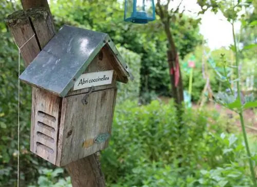 В саду его детства в Бургундии, огороде в нижнем саду. Он будет описан в La Maison de Claudine.