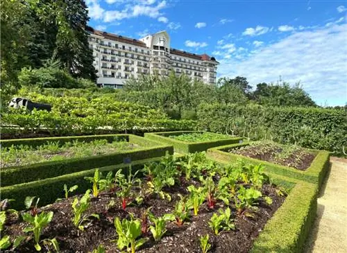 Огород на курорте Royal Evian Resort