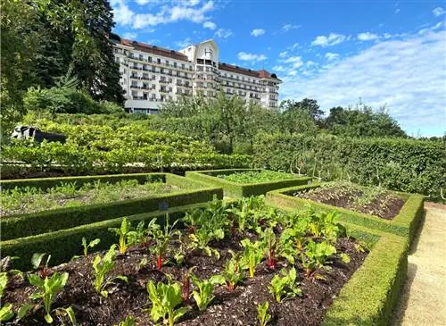 Сады шеф-повара: королевский огород курорта Royal Evian Resort