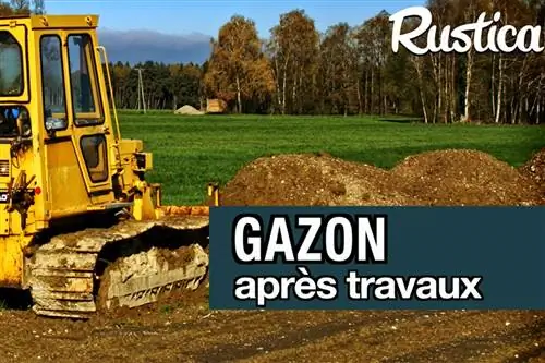 Как освежить газон после работы?