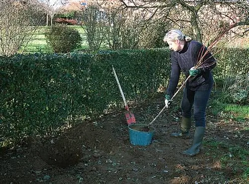 Чем заняться в ноябре в саду?