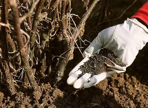 Улучшайте садовую почву. Шесть качественных удобрений