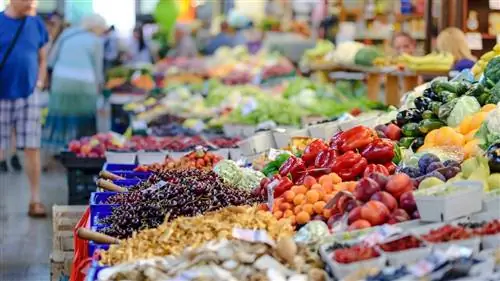 Продажа продукции со своего огорода: что говорит закон?