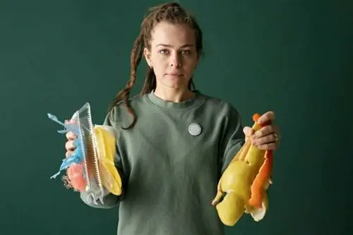 5 продуктов, которые никогда нельзя бросать в компост 5 продуктов, которые никогда нельзя бросать в компост