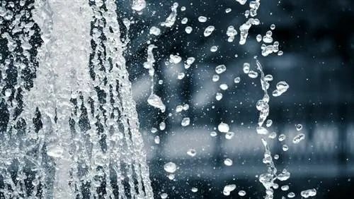 Как собрать дождевую воду? Какие виды использования разрешены?